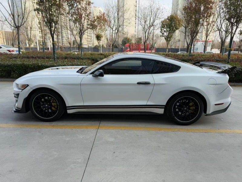 济宁18年福特野马8