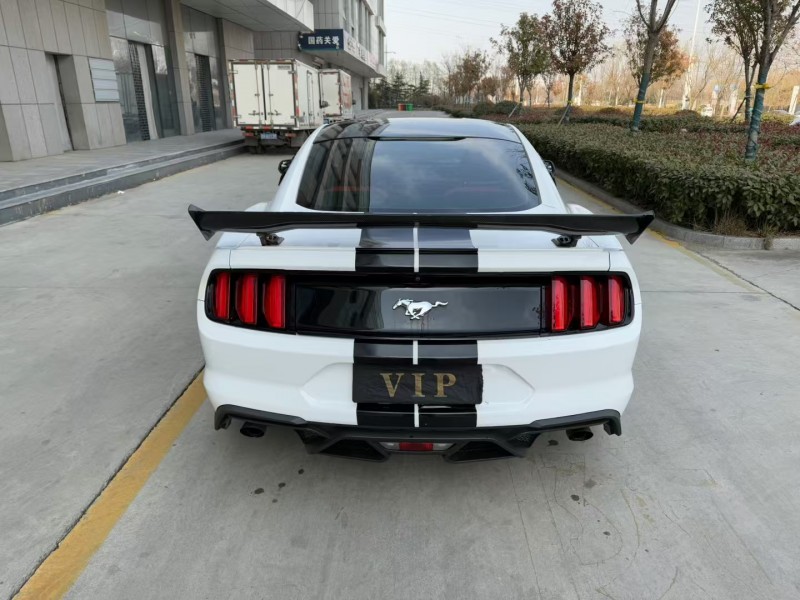 济宁18年福特野马9