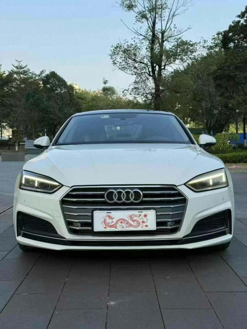 佛山19年奥迪A51