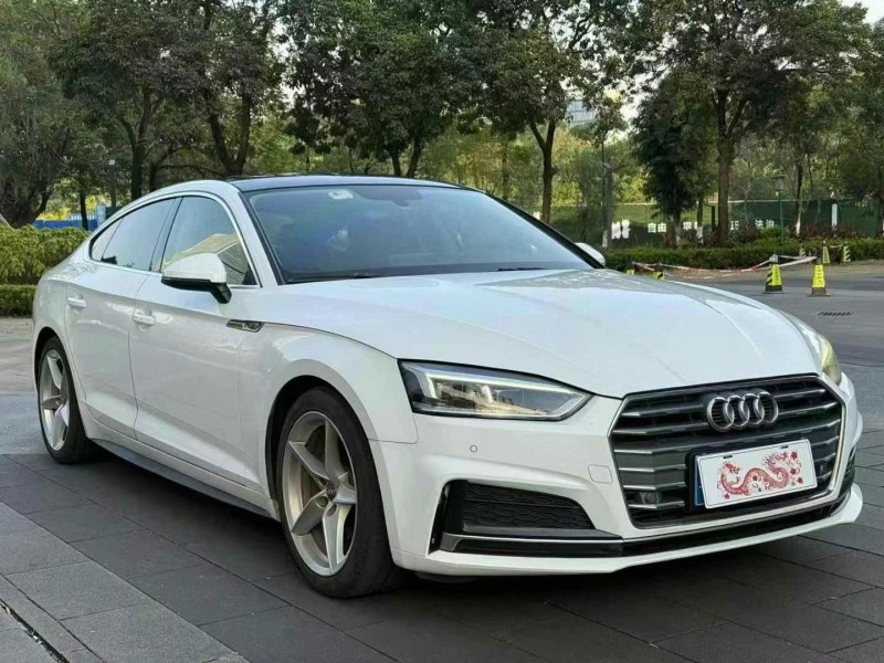 佛山19年奥迪A53