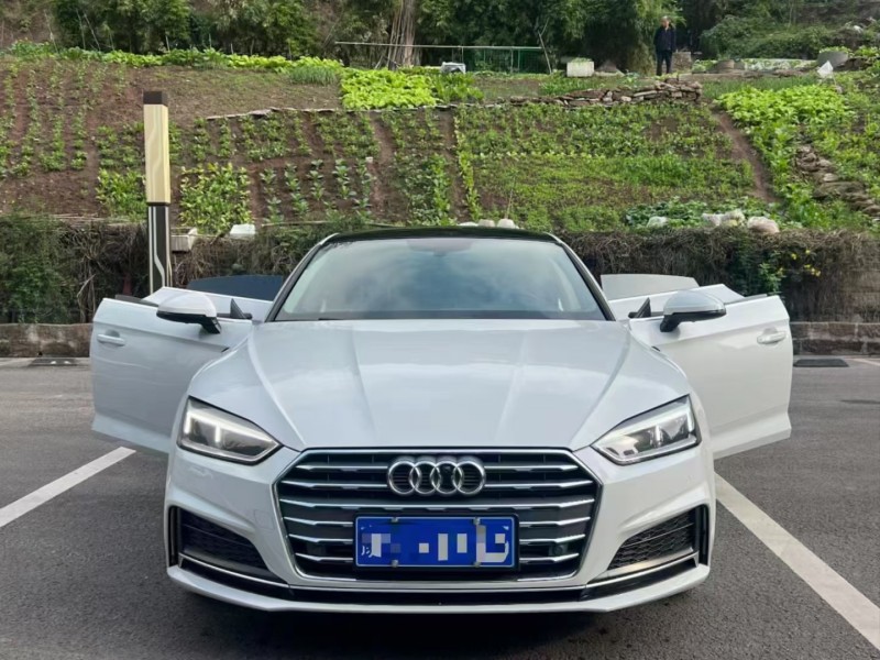 佛山17年奥迪A51