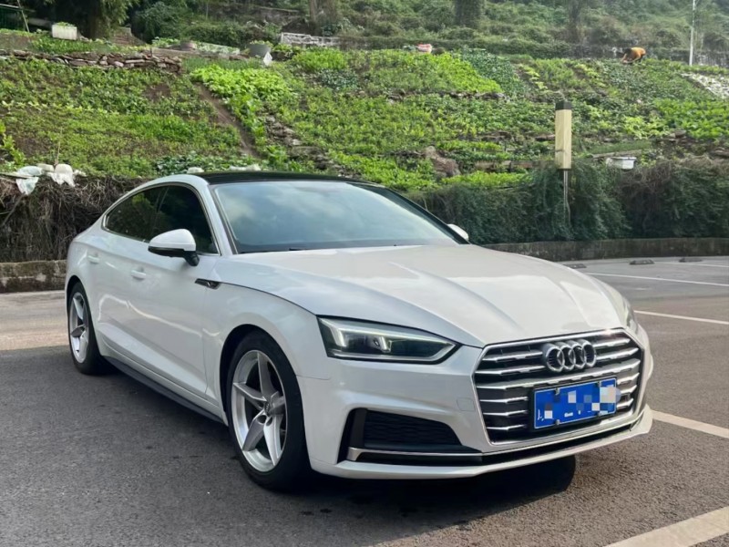 佛山17年奥迪A53