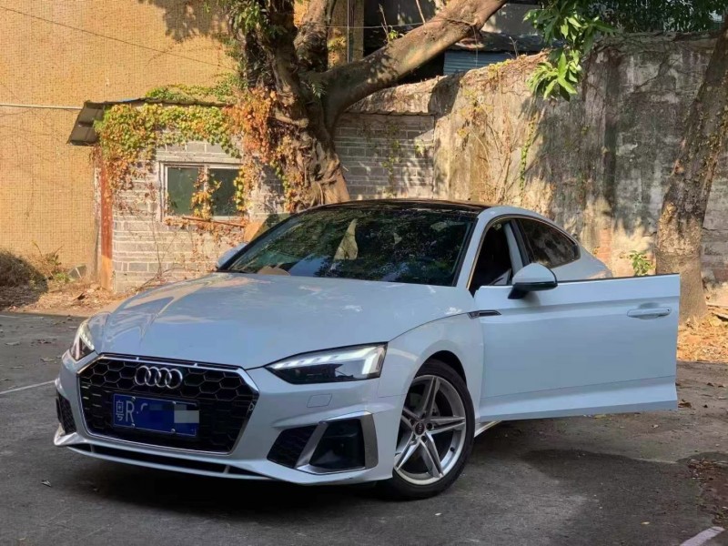 广州23年奥迪A52