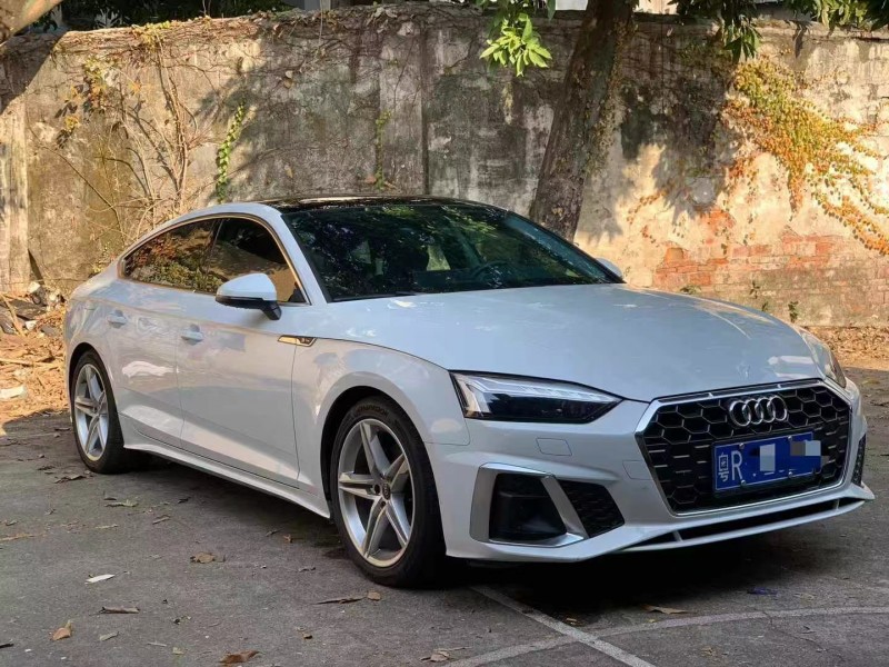 广州23年奥迪A53