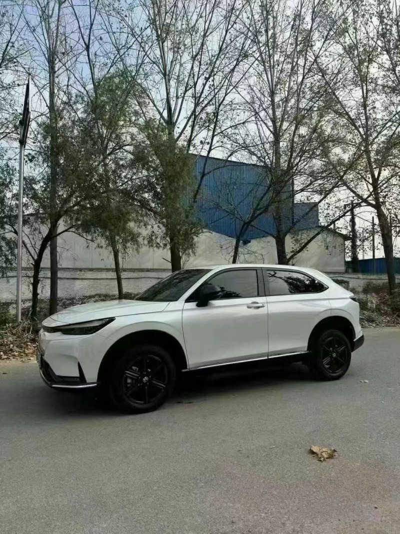 菏泽24年本田极湃4