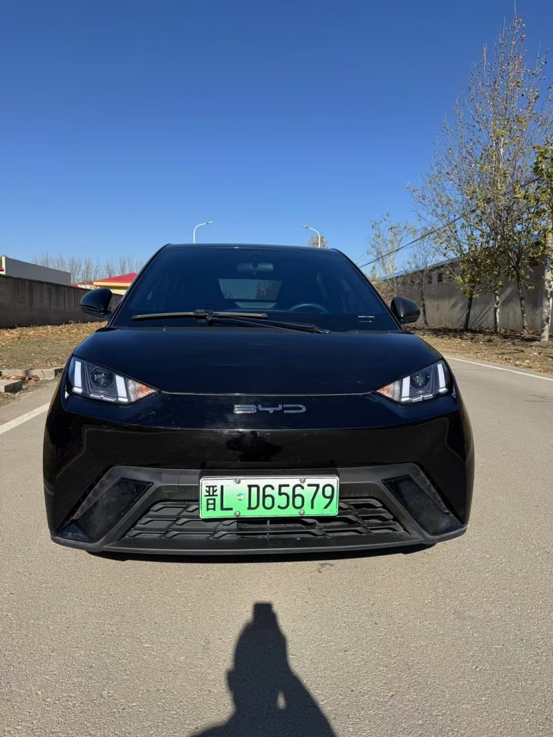 邢台23年比亚迪海鸥1