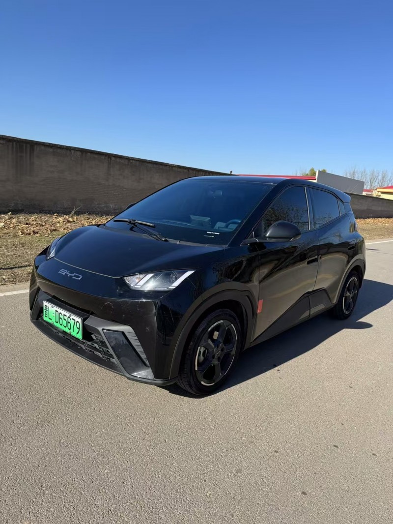 邢台23年比亚迪海鸥2