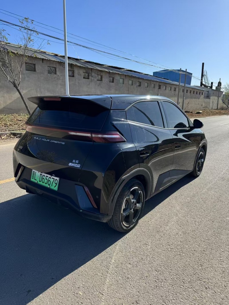 邢台23年比亚迪海鸥4