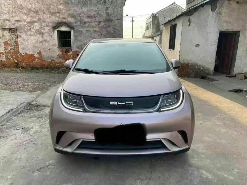 盐城22年比亚迪海豚1