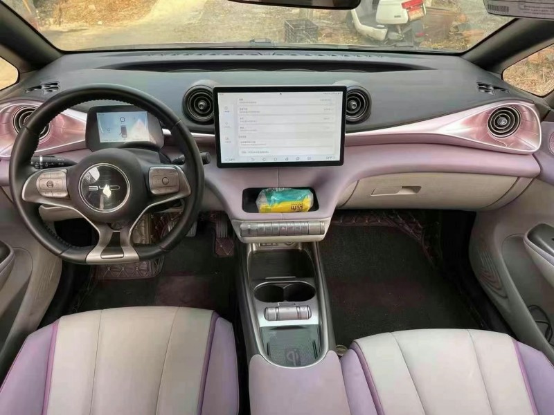 盐城22年比亚迪海豚6