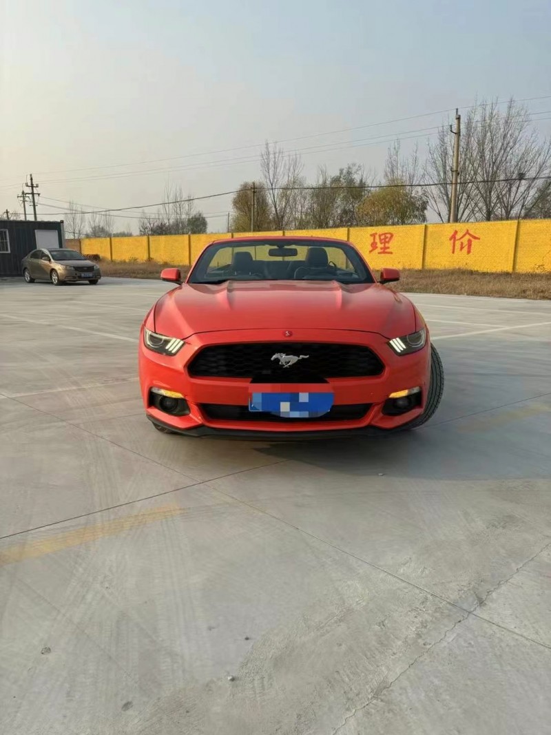 济宁16年福特野马1