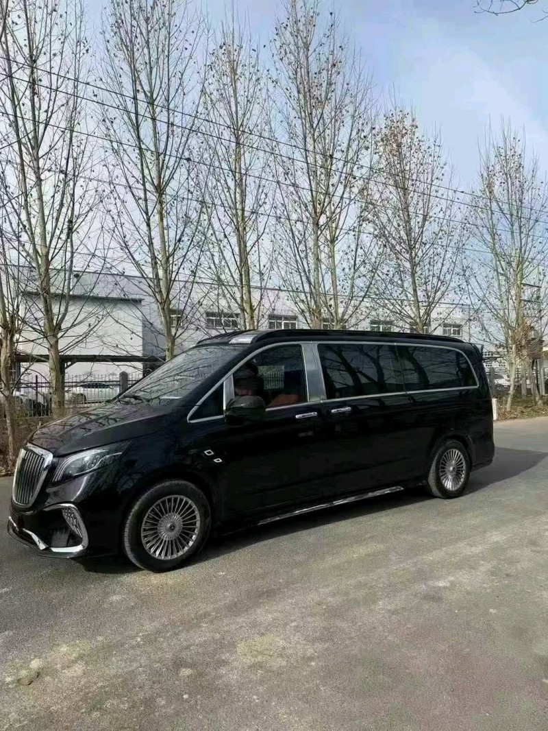 菏泽24年奔驰威霆3