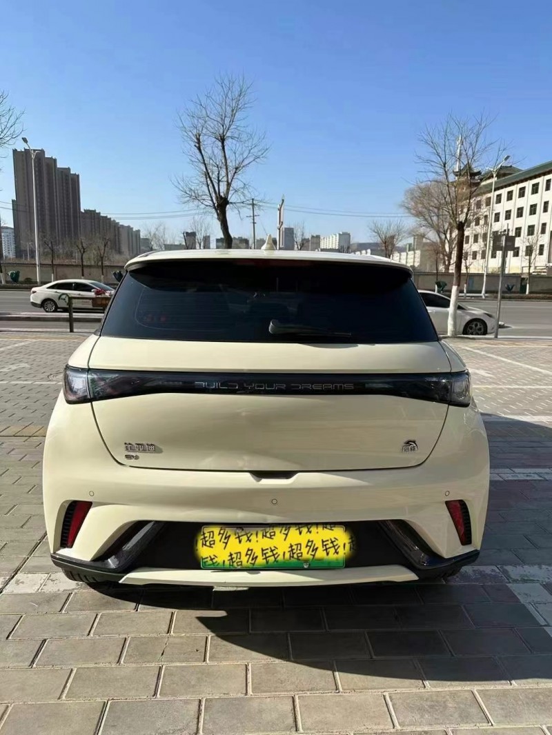 白銀23年比亞迪海豚6