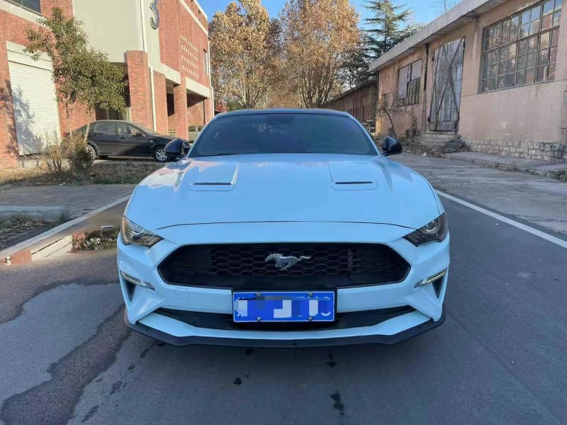 济宁19年福特野马1