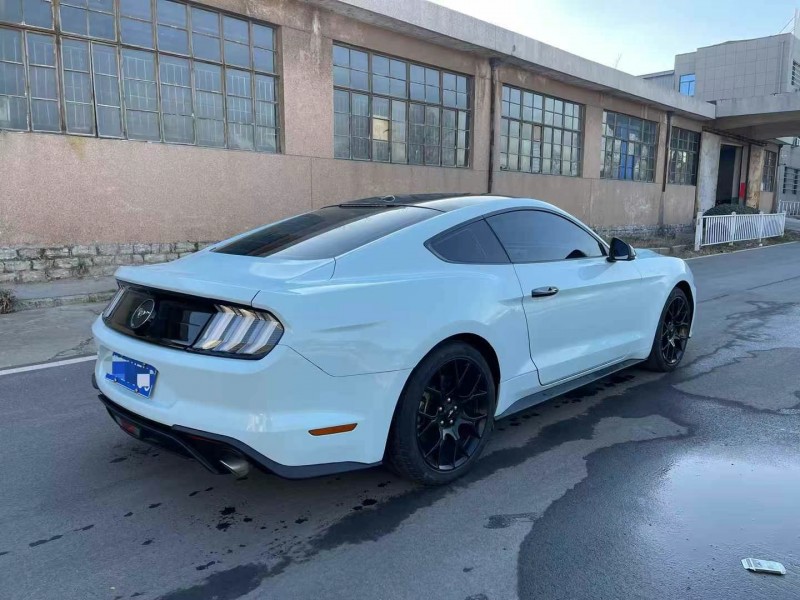 济宁19年福特野马9