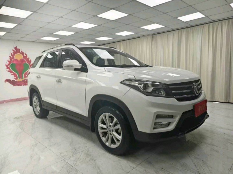 成都20年东风风光2