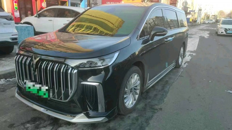 成都23年嵐圖汽車夢想家5