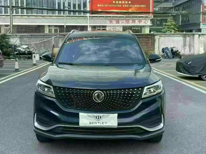 广州20年东风风光1
