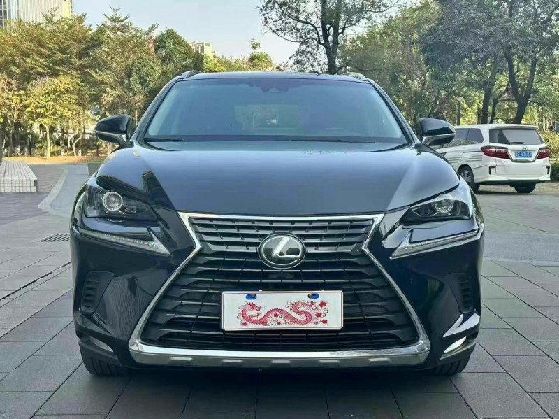 佛山19年雷克萨斯NX1