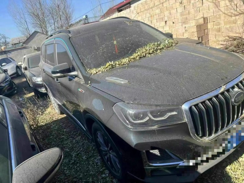 临沂22年SWM斯威汽车G052