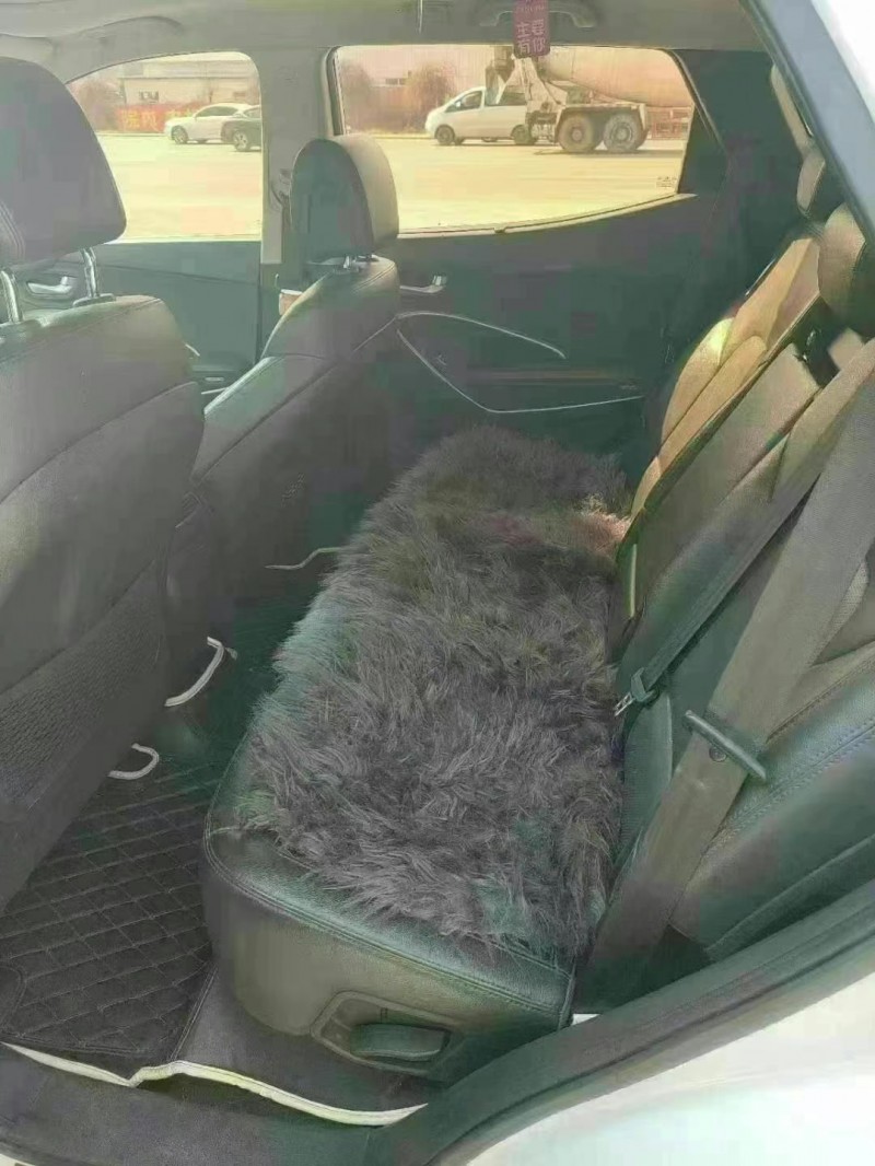 保定16年现代新胜达6