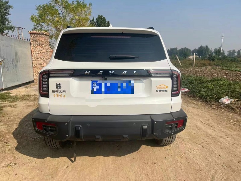 保定22年哈弗大狗5