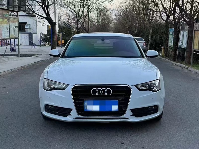 青岛13年奥迪A51