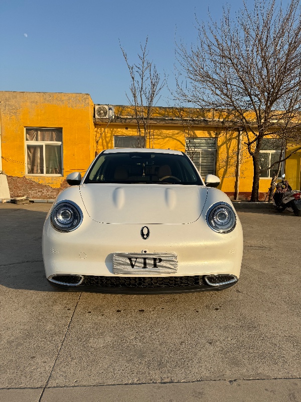 邯鄲24年長城汽車歐拉1