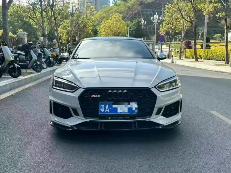 广州19年奥迪S51