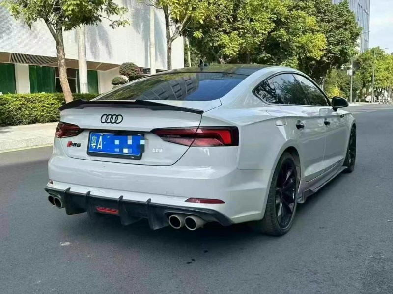 广州19年奥迪S58