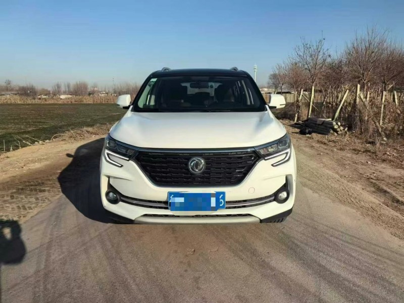 保定20年东风T51