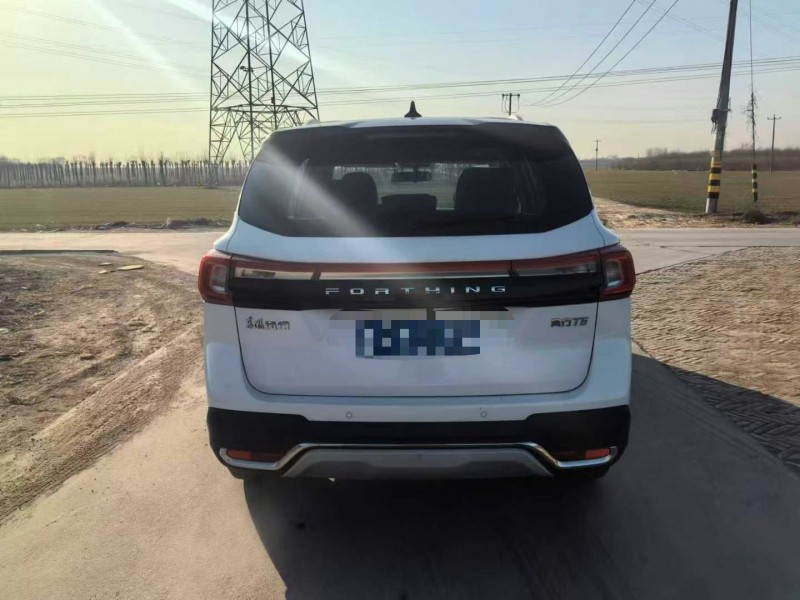 保定20年东风T58