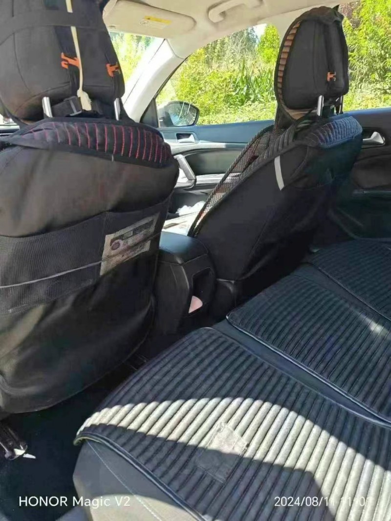 保定17年东风标致5