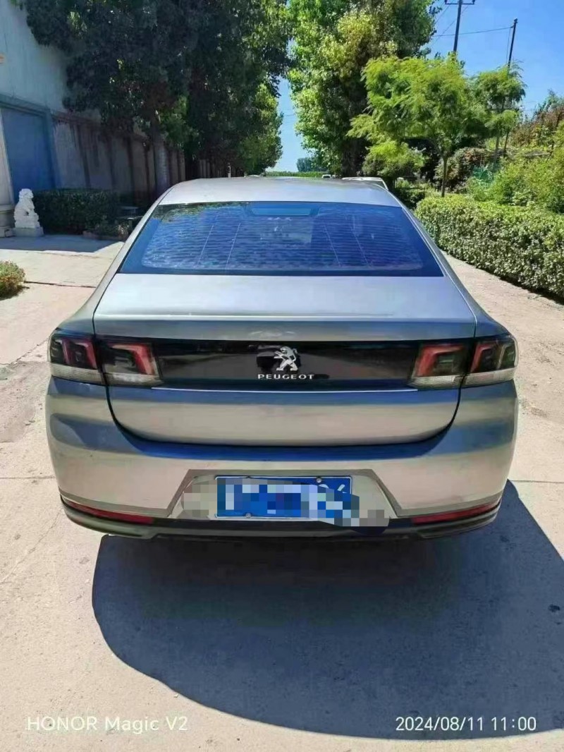 保定17年东风标致9