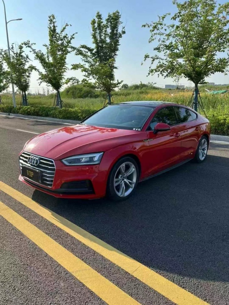 徐州20年奥迪A55