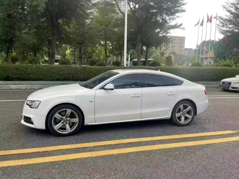 佛山14年奥迪S56
