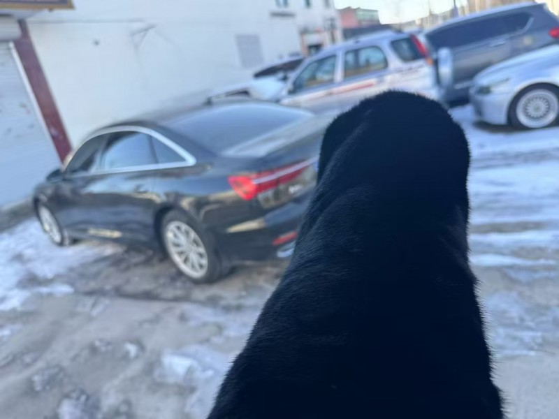 保定19年奥迪A6L3