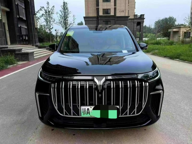 廊坊24年嵐圖汽車夢想家1