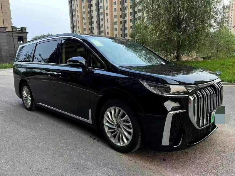 廊坊24年嵐圖汽車夢想家2