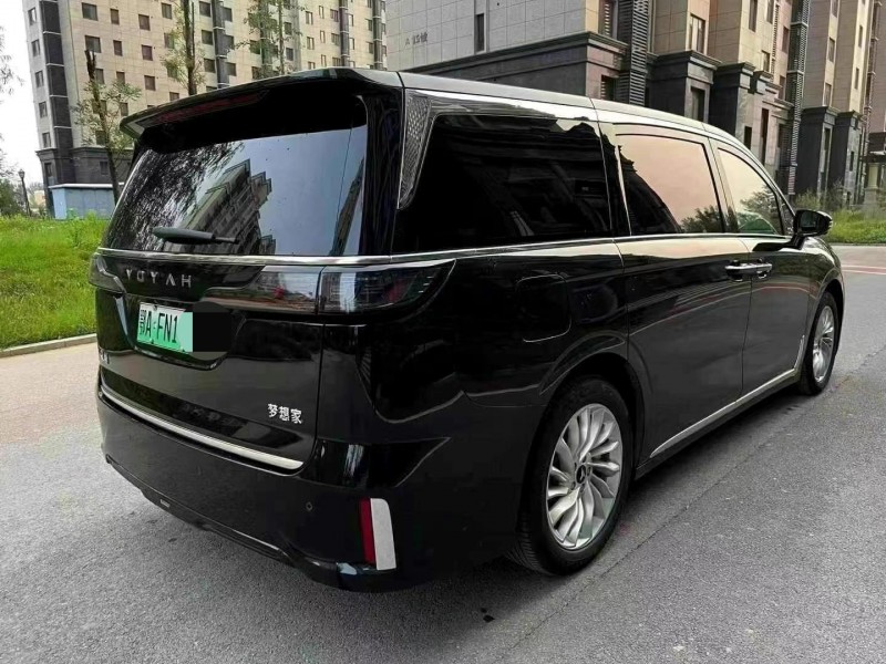 廊坊24年嵐圖汽車夢想家5