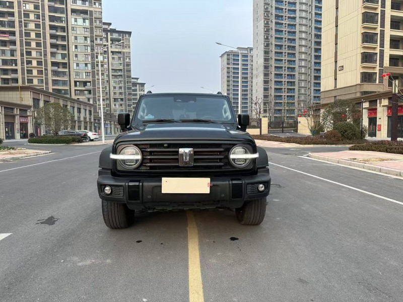 阜陽22年長城汽車坦克1