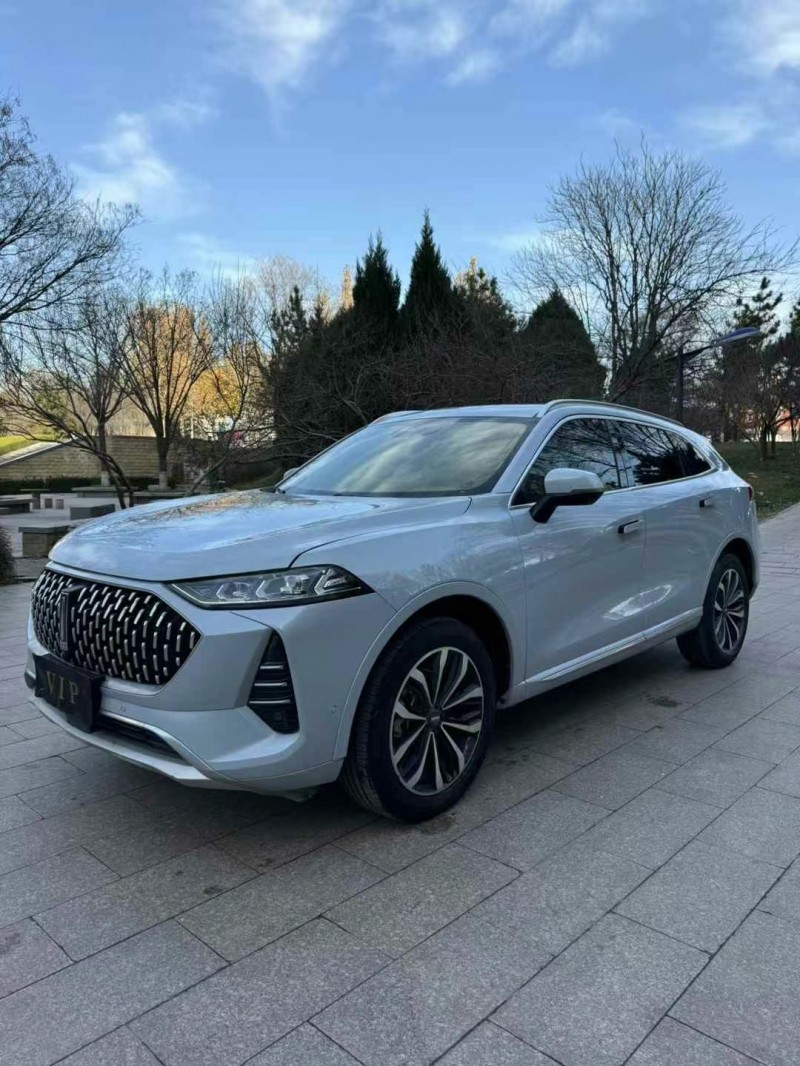 邢臺21年長城汽車WEY2