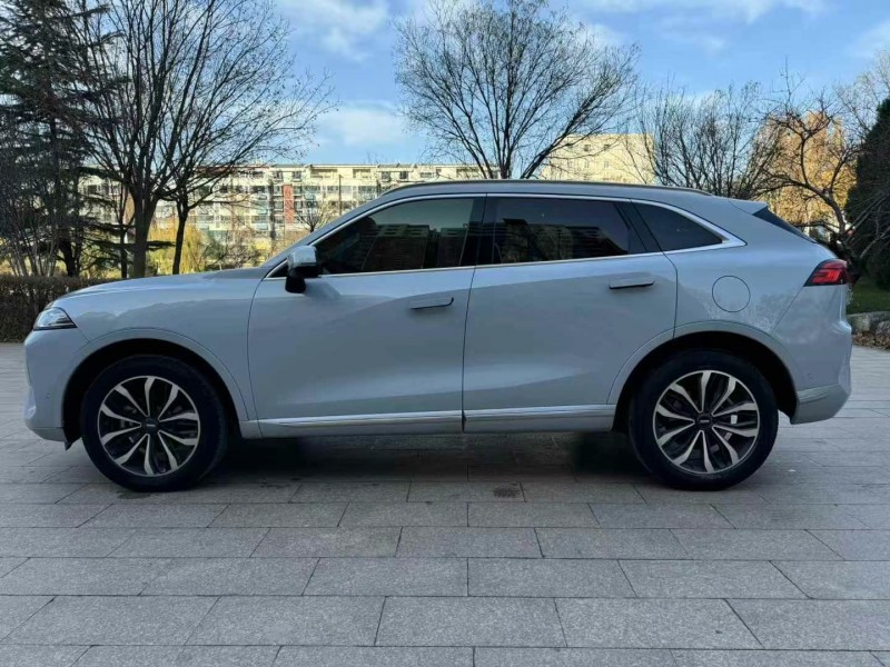 邢臺21年長城汽車WEY4