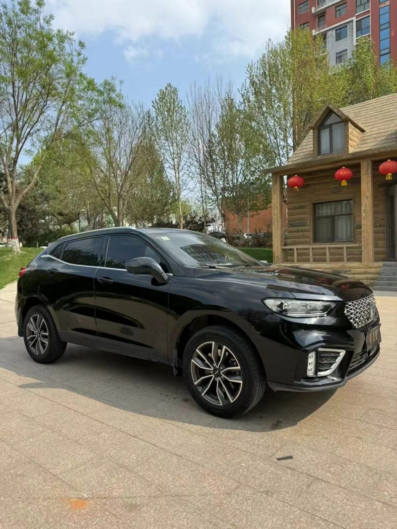 邢臺21年長城汽車WEY3