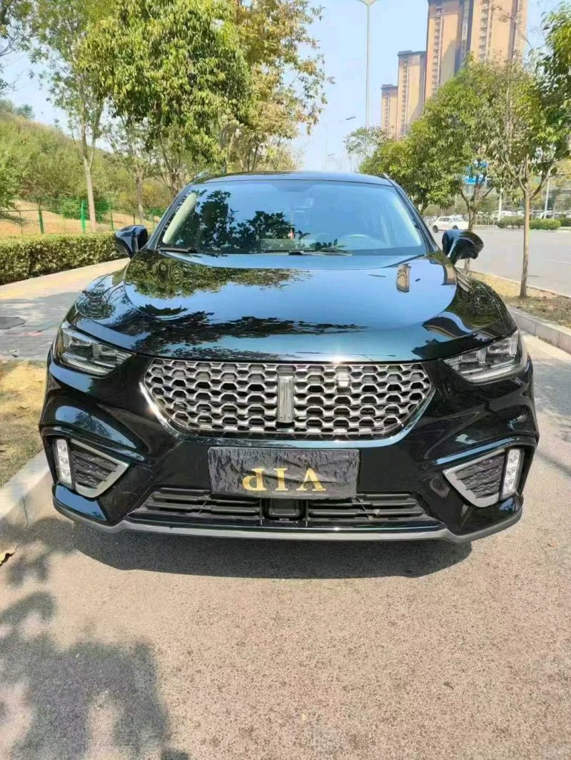 西安21年長城汽車WEY1