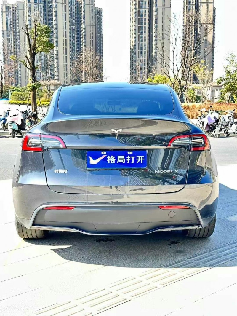 東莞24年特斯拉MODEL Y9