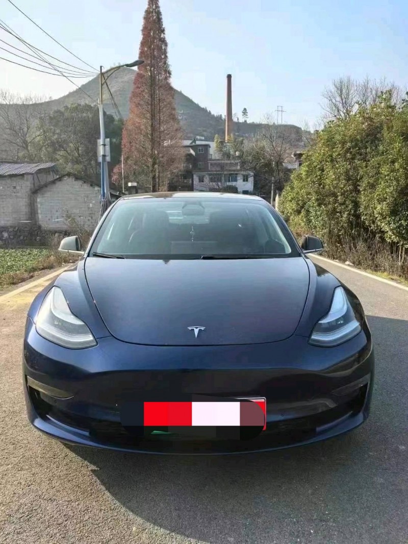 萍鄉20年特斯拉MODEL 31
