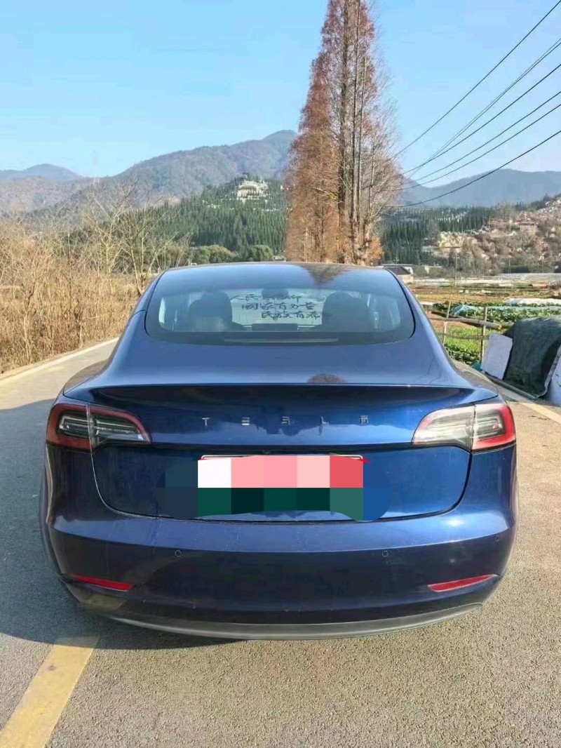 萍鄉20年特斯拉MODEL 32