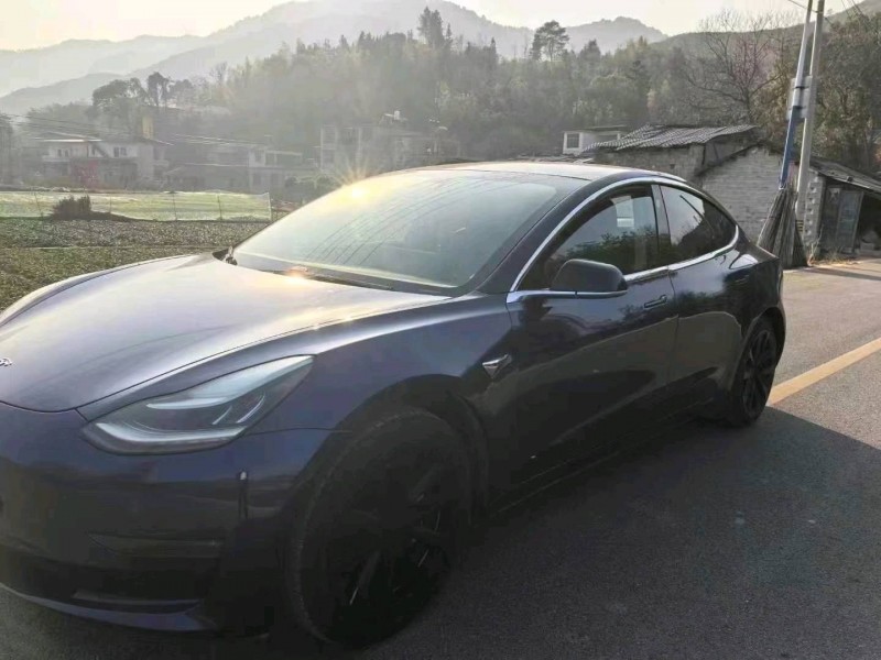 萍鄉20年特斯拉MODEL 34