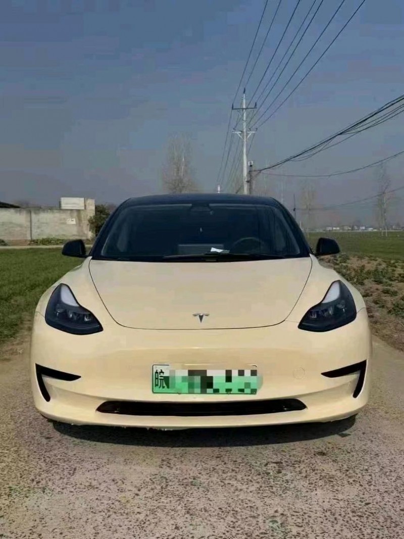 濟寧22年特斯拉MODEL 31